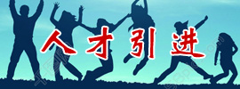 人才引进专题网站